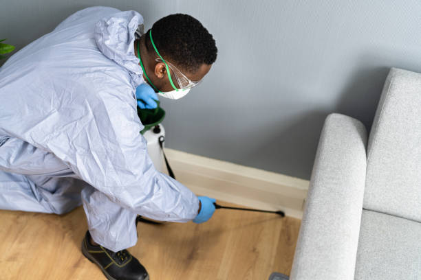 Reliable Antioch, IL Pest control Solutions